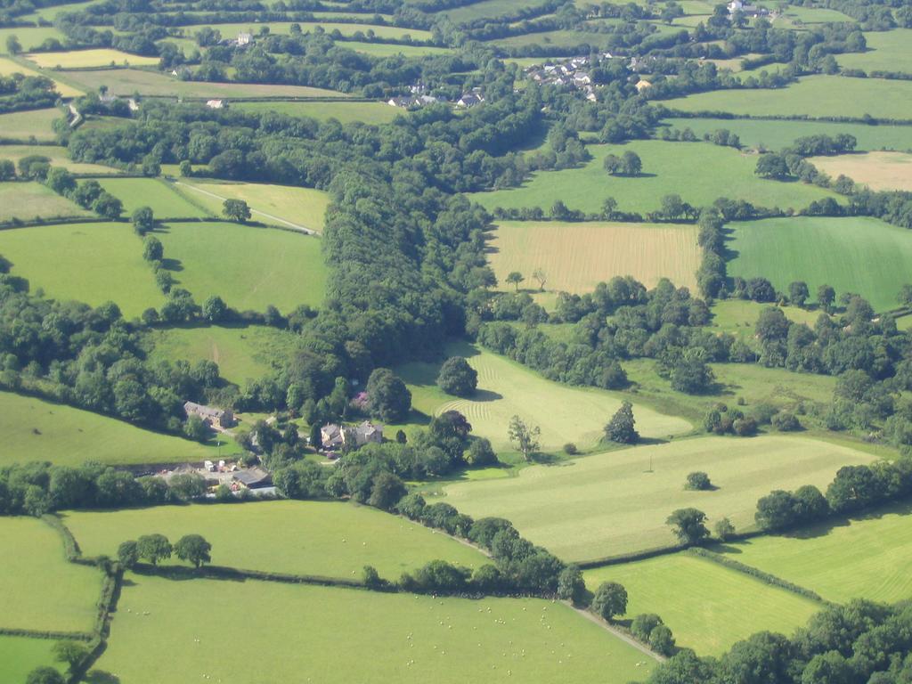 David'S Organic Farm Wales Villa Llanfallteg Exterior photo