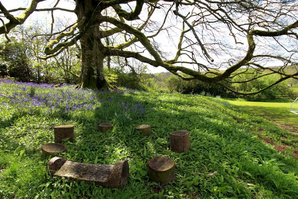 David'S Organic Farm Wales Villa Llanfallteg Exterior photo