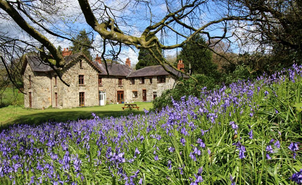 David'S Organic Farm Wales Villa Llanfallteg Exterior photo